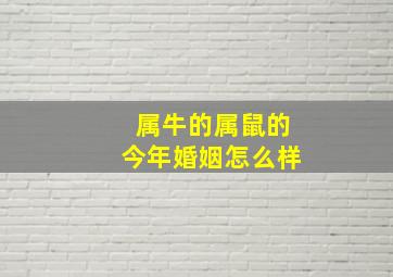 属牛的属鼠的今年婚姻怎么样