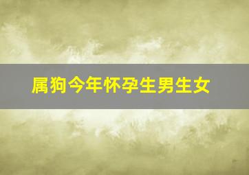 属狗今年怀孕生男生女