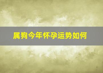 属狗今年怀孕运势如何