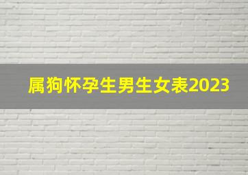 属狗怀孕生男生女表2023