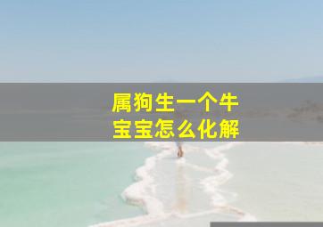 属狗生一个牛宝宝怎么化解