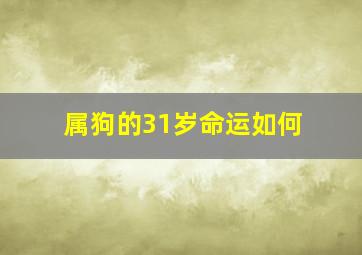 属狗的31岁命运如何