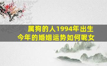 属狗的人1994年出生今年的婚姻运势如何呢女