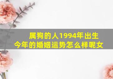 属狗的人1994年出生今年的婚姻运势怎么样呢女