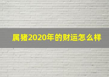 属猪2020年的财运怎么样