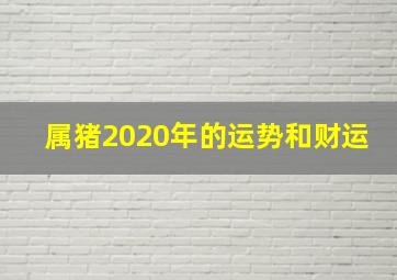 属猪2020年的运势和财运