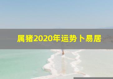 属猪2020年运势卜易居