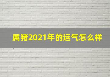 属猪2021年的运气怎么样