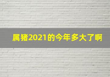 属猪2021的今年多大了啊