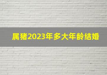 属猪2023年多大年龄结婚