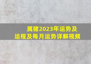 属猪2023年运势及运程及每月运势详解视频