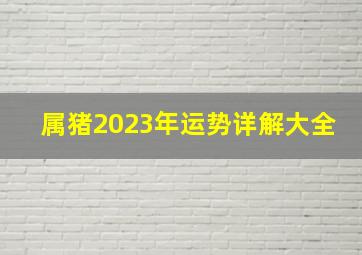 属猪2023年运势详解大全