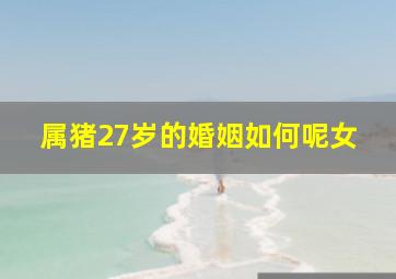 属猪27岁的婚姻如何呢女