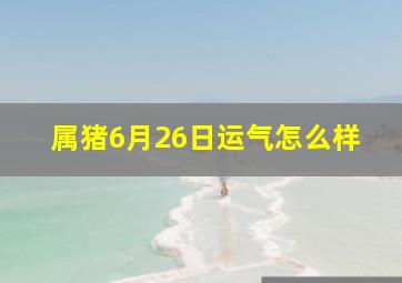 属猪6月26日运气怎么样