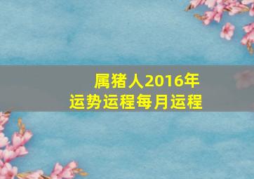 属猪人2016年运势运程每月运程