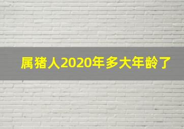 属猪人2020年多大年龄了