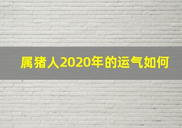 属猪人2020年的运气如何