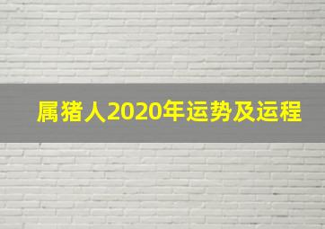 属猪人2020年运势及运程