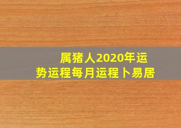 属猪人2020年运势运程每月运程卜易居