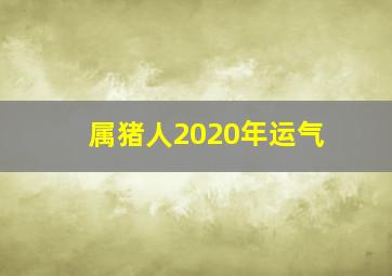 属猪人2020年运气