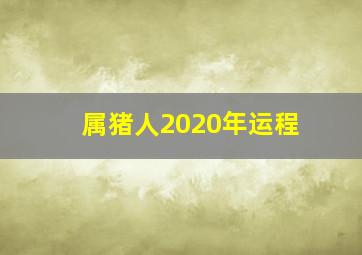 属猪人2020年运程