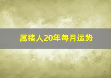 属猪人20年每月运势