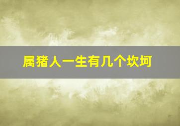 属猪人一生有几个坎坷