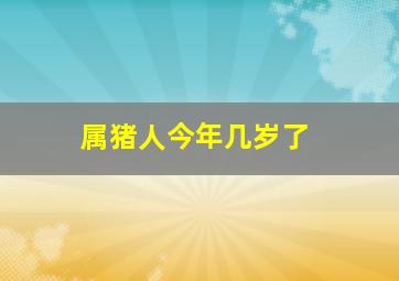 属猪人今年几岁了