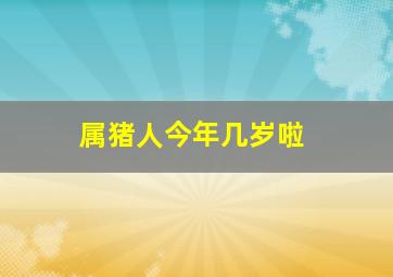 属猪人今年几岁啦