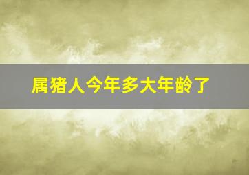 属猪人今年多大年龄了