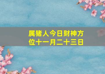 属猪人今日财神方位十一月二十三日