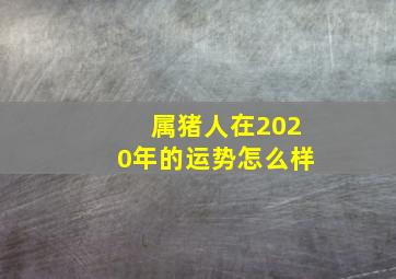 属猪人在2020年的运势怎么样