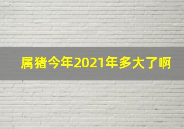 属猪今年2021年多大了啊