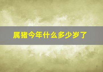 属猪今年什么多少岁了