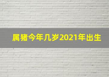 属猪今年几岁2021年出生