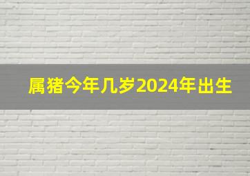 属猪今年几岁2024年出生