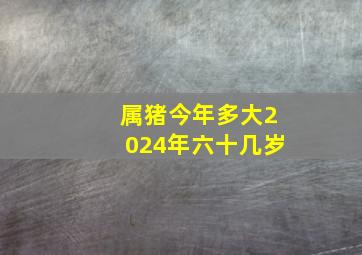 属猪今年多大2024年六十几岁