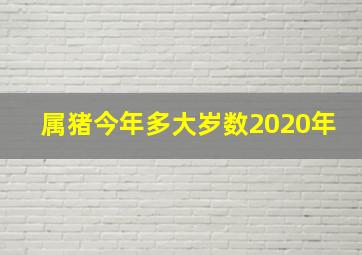 属猪今年多大岁数2020年