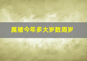 属猪今年多大岁数周岁