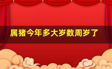 属猪今年多大岁数周岁了