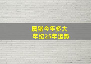 属猪今年多大年纪25年运势