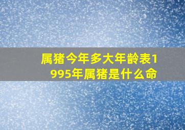 属猪今年多大年龄表1995年属猪是什么命