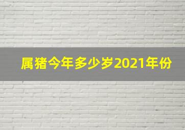 属猪今年多少岁2021年份