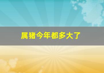 属猪今年都多大了