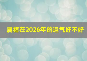 属猪在2026年的运气好不好