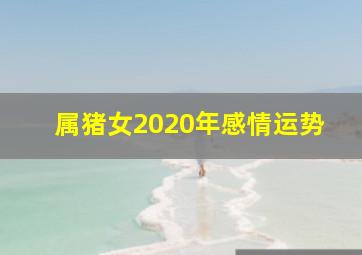 属猪女2020年感情运势