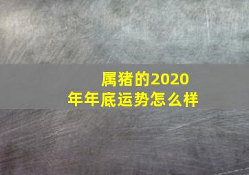 属猪的2020年年底运势怎么样