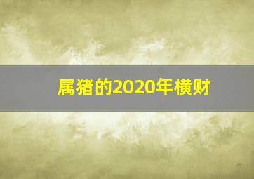 属猪的2020年横财