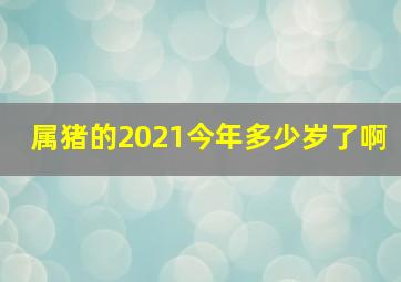 属猪的2021今年多少岁了啊