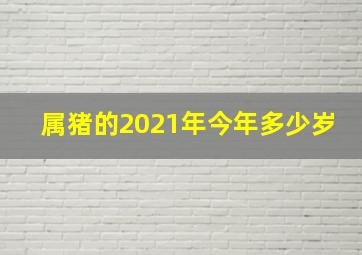 属猪的2021年今年多少岁